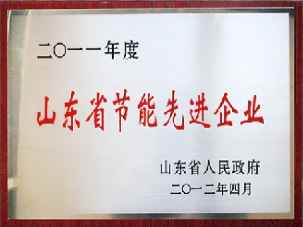 山东省节能先进企业